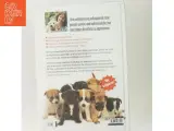Hvalpebogen : sådan får du en glad og velopdragen hund af Gwen Bailey (Bog) - 3