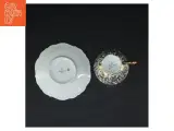 Porcelænskopper og underkopper sæt fra Bareuther (str. 3 kopper. ø 7 cm. 3 tallerkner. ø. 12 cm) - 3