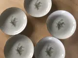 Tallerkner 