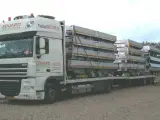 EDUARD trailer 4520-2000.72 - 4