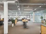 Stort og ikonisk erhvervslejemål i gågaden - 4