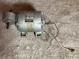 Gear motor