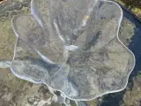 Bordfad bladformet Natura fra Holmegaard