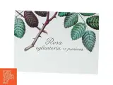 Retro Vintage Røde Roser Blik Metal Tidsskrift holder (str. 40 x 18 cm) - 5