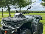 AODES PATHCROSS 650 S (T3A) - 2