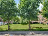 60 m² atelier eller kontor i Nørrebros fuglekvarter - 5