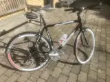 Cykel  Sport - 2