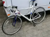 Herreracer, viking, 56 cm stel