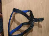  En hundesele til en stor hund
