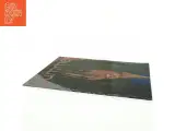 Donna Summer LP (str. 31 x 31 cm) - 4