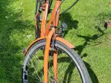 El cykel - E FLY Nova Max  - 2