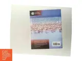 Microeconomics af Jeffrey M. Perloff (Bog) - 3