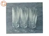 Glas (str. 16 x 5 cm) - 4
