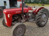 massey ferguson 35, 3 cyl Diesel - 5