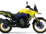 Suzuki DL 800 DE V-Strom - 3