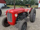 massey ferguson 35 Benzin - 3