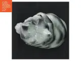 Porcelænskat - 3