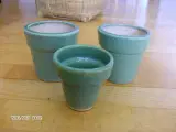 Urtepotter