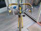 Racercykel Richard Virenque 
