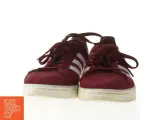 Adidas Campus sneakers i bordeaux fra Adidas (str. 40) - 3