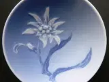 Royal Copenhagen smørasiet - 3612 Edelweiss - 3 st