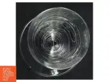 Champagneglas (6 stk) (str. 16 cm) - 5