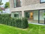 Nyopført kontor til leje på Lindevangs Allé 3A. Frederiksberg - 4