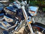 Super flot Suzuki VL800 Intruder