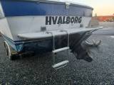 Bayliner 2860 Trophy/Cuddy - m. Volvo Penta D4-210 - 3