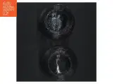 Hyasinth glas (str. 12 cm) - 4