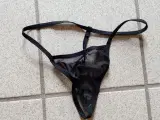 Lingeri