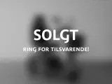 LM-500 grå - 2 års garanti - SOLGT - 3