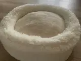 Katteseng
