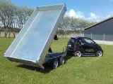 EDUARD  trailer 3116-2000.66 EL Tip M. Ramper - 2
