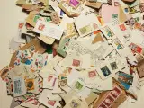 Udenlandske frimærker afklip 850g