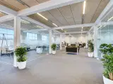 Moderne kontorer/showroom/undervisningslokaler med godt lysindfald - 4