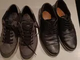 Ecco sko 45str 300kr par par