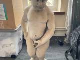 Manneken Pis havefigur