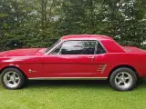 Ford Mustang 66 ledningsnet købes købes