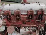 Leyland O.E. 138 Defekt for Parts - 2