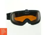 Ski briller fra Alpina (str. 19x8,5 cm) - 4