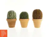 Håndlavet kaktus planter (str. 19 x 10 cm og 18 x 10 cm og 16 x 10 cm) - 2