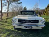 Ford Mustang 1965 - 4