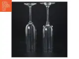 Champagneglas (str. 21 x 7 cm og 21 x 5 cm) - 2
