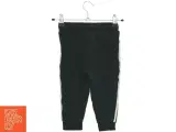 Bukser fra Adidas (str. 86 cm) - 2