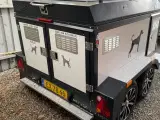 Hundetrailer  - 3