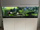 Red Sea REEFER 750 XXL 