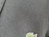 ⭐️- Lacoste Slim Fit Polo F8330 - Grå - Str- M - 2