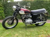 Triumph Daytona T100R 