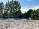 Næsten all invlusive - 5